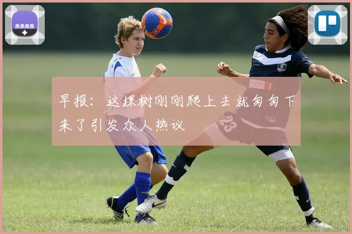 早报：这棵树刚刚爬上去就匆匆下来了引发众人热议