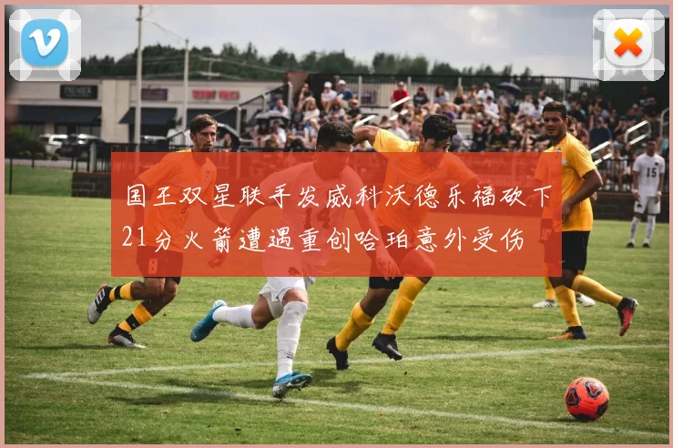国王双星联手发威科沃德乐福砍下21分火箭遭遇重创哈珀意外受伤