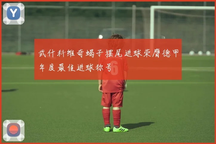 武什科维奇蝎子摆尾进球荣膺德甲年度最佳进球称号